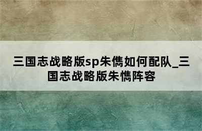 三国志战略版sp朱儁如何配队_三国志战略版朱懏阵容