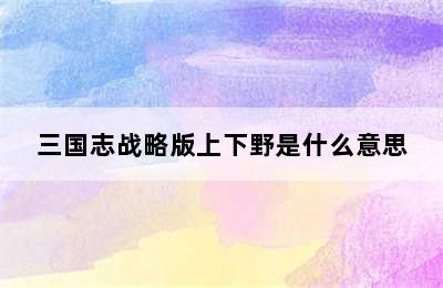 三国志战略版上下野是什么意思