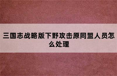 三国志战略版下野攻击原同盟人员怎么处理