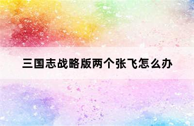 三国志战略版两个张飞怎么办