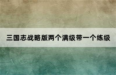 三国志战略版两个满级带一个练级