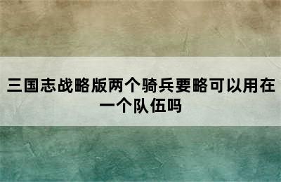 三国志战略版两个骑兵要略可以用在一个队伍吗