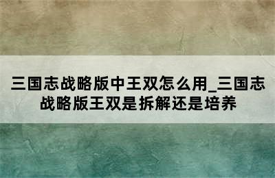 三国志战略版中王双怎么用_三国志战略版王双是拆解还是培养