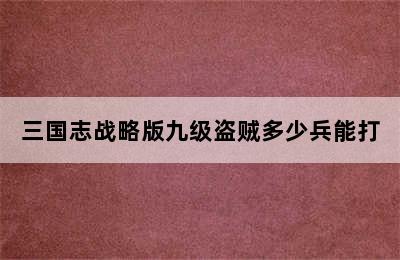 三国志战略版九级盗贼多少兵能打