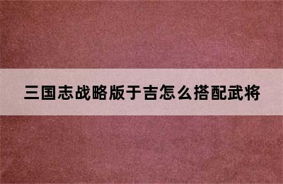 三国志战略版于吉怎么搭配武将