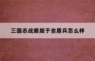 三国志战略版于吉盾兵怎么样