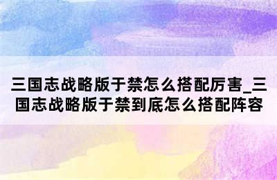 三国志战略版于禁怎么搭配厉害_三国志战略版于禁到底怎么搭配阵容