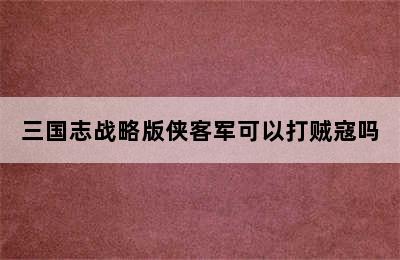 三国志战略版侠客军可以打贼寇吗