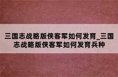 三国志战略版侠客军如何发育_三国志战略版侠客军如何发育兵种