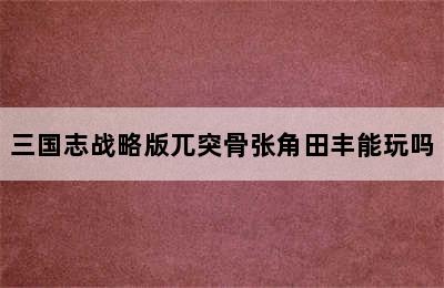 三国志战略版兀突骨张角田丰能玩吗