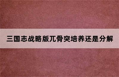 三国志战略版兀骨突培养还是分解