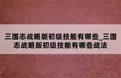 三国志战略版初级技能有哪些_三国志战略版初级技能有哪些战法