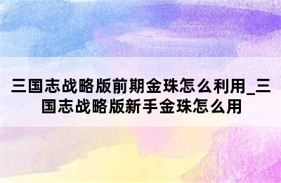 三国志战略版前期金珠怎么利用_三国志战略版新手金珠怎么用