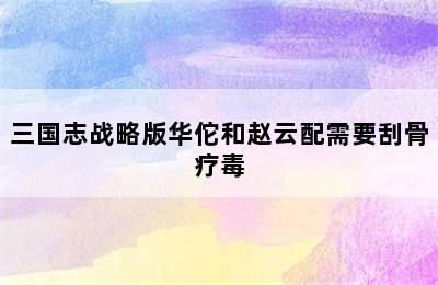 三国志战略版华佗和赵云配需要刮骨疗毒