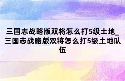 三国志战略版双将怎么打5级土地_三国志战略版双将怎么打5级土地队伍