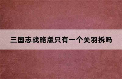 三国志战略版只有一个关羽拆吗