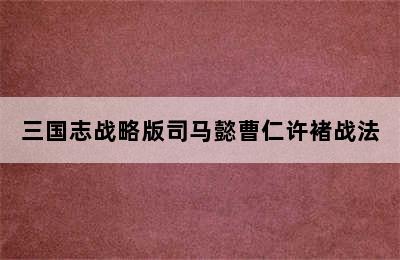 三国志战略版司马懿曹仁许褚战法