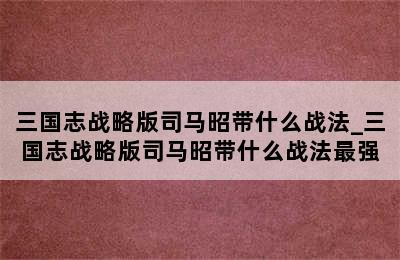 三国志战略版司马昭带什么战法_三国志战略版司马昭带什么战法最强