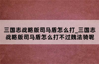 三国志战略版司马盾怎么打_三国志战略版司马盾怎么打不过魏法骑呢