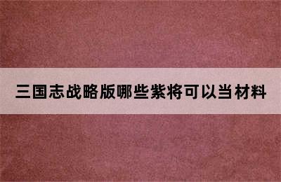 三国志战略版哪些紫将可以当材料