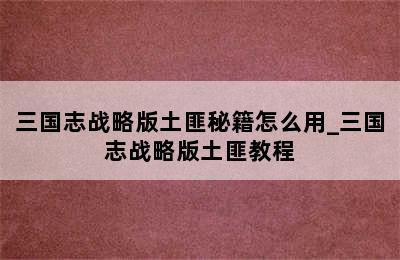 三国志战略版土匪秘籍怎么用_三国志战略版土匪教程