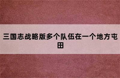 三国志战略版多个队伍在一个地方屯田