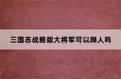 三国志战略版大将军可以踢人吗