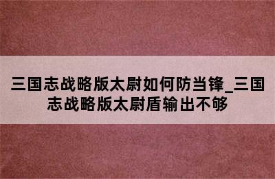 三国志战略版太尉如何防当锋_三国志战略版太尉盾输出不够