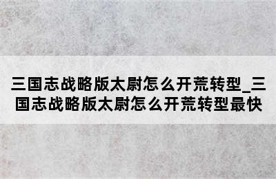 三国志战略版太尉怎么开荒转型_三国志战略版太尉怎么开荒转型最快