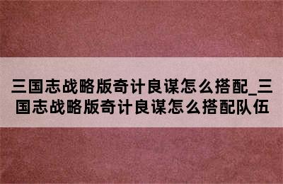 三国志战略版奇计良谋怎么搭配_三国志战略版奇计良谋怎么搭配队伍