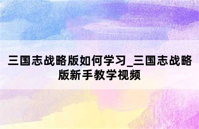 三国志战略版如何学习_三国志战略版新手教学视频