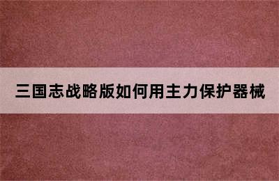 三国志战略版如何用主力保护器械