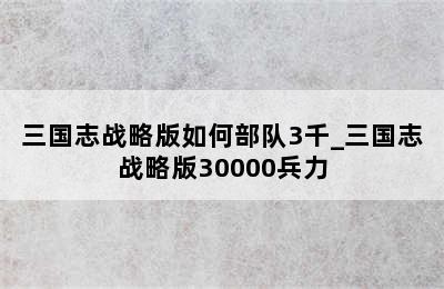 三国志战略版如何部队3千_三国志战略版30000兵力