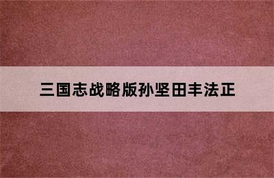 三国志战略版孙坚田丰法正