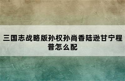 三国志战略版孙权孙尚香陆逊甘宁程普怎么配