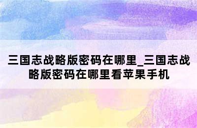 三国志战略版密码在哪里_三国志战略版密码在哪里看苹果手机