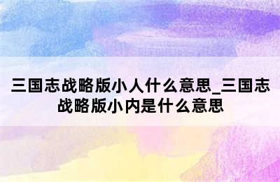 三国志战略版小人什么意思_三国志战略版小内是什么意思