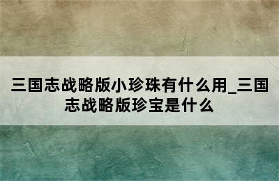 三国志战略版小珍珠有什么用_三国志战略版珍宝是什么