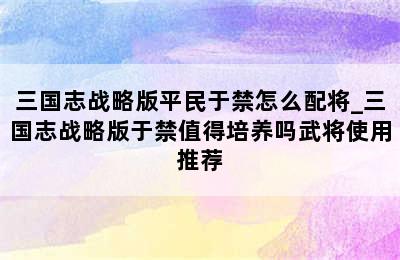 三国志战略版平民于禁怎么配将_三国志战略版于禁值得培养吗武将使用推荐