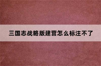 三国志战略版建营怎么标注不了