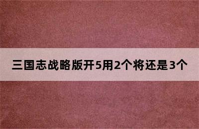 三国志战略版开5用2个将还是3个