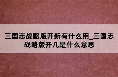 三国志战略版开新有什么用_三国志战略版开几是什么意思