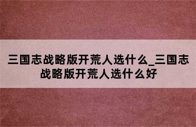 三国志战略版开荒人选什么_三国志战略版开荒人选什么好