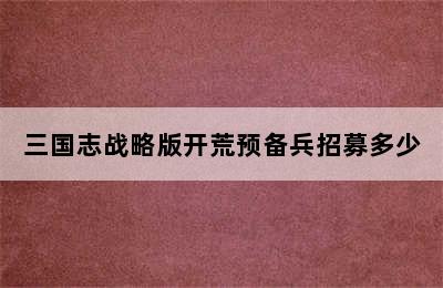 三国志战略版开荒预备兵招募多少