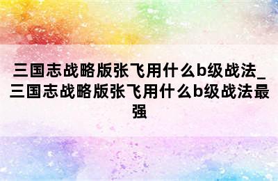 三国志战略版张飞用什么b级战法_三国志战略版张飞用什么b级战法最强