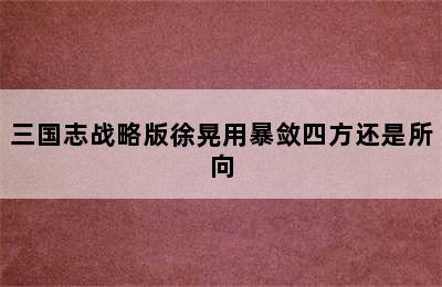 三国志战略版徐晃用暴敛四方还是所向