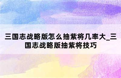 三国志战略版怎么抽紫将几率大_三国志战略版抽紫将技巧