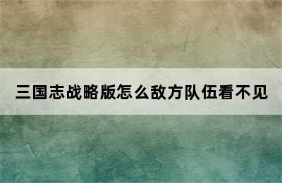 三国志战略版怎么敌方队伍看不见