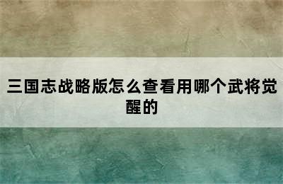 三国志战略版怎么查看用哪个武将觉醒的