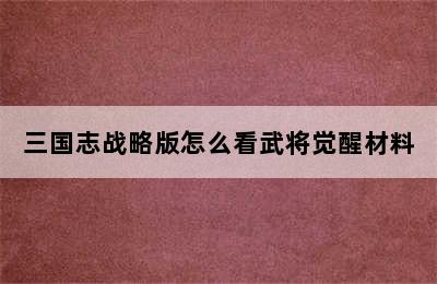 三国志战略版怎么看武将觉醒材料